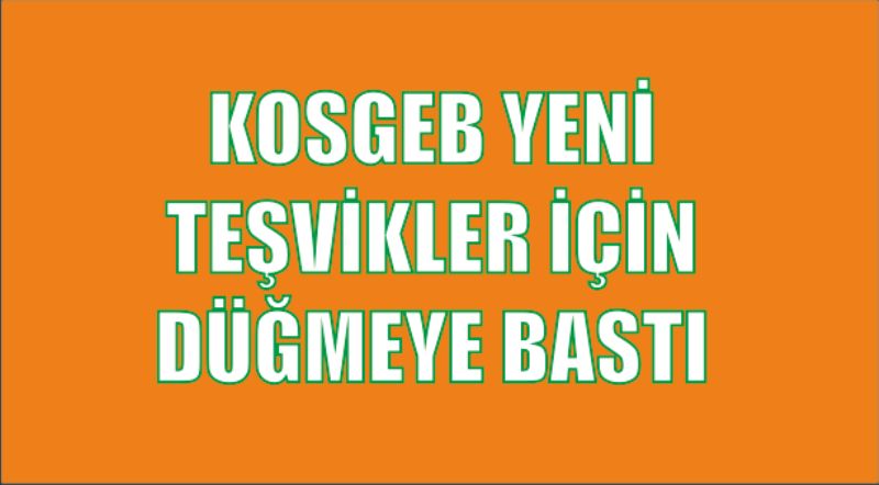 Kosgeb Yeni Tesvikler Icin Dugmeye Basti Duzce Osb